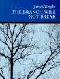 The Branch Will Not Break - Preview