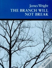 Capa do artigo The Branch Will Not Break