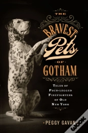 Capa do artigo The Bravest Pets Of Gotham
