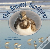 Capa do artigo The Bravest Sandpiper