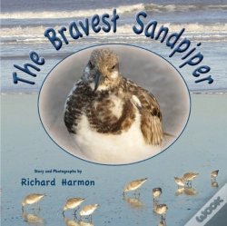 Capa do artigo The Bravest Sandpiper
