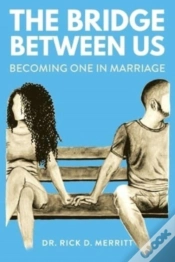 Capa do artigo The Bridge Between Us