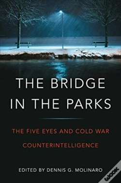 Capa do artigo The Bridge In The Parks