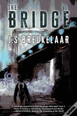 Capa do artigo The Bridge