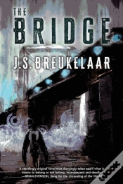 Capa do artigo The Bridge