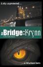 The Bridge: Krynn - Preview
