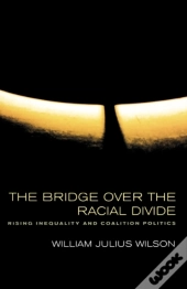 The Bridge Over The Racial Divide