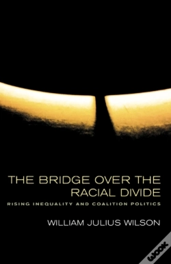 Capa do artigo The Bridge Over The Racial Divide