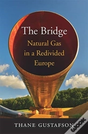 Capa do artigo The Bridge