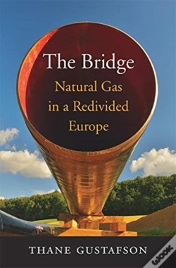 Capa do artigo The Bridge