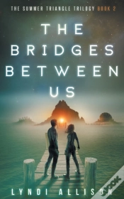 Capa do artigo The Bridges Between Us