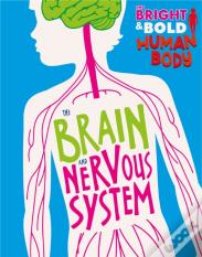 The Bright And Bold Human Body: The Brain And Nervous System