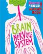 The Bright And Bold Human Body: The Brain And Nervous System - Preview