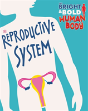 The Bright And Bold Human Body: The Reproductive System - Preview