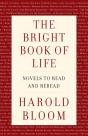The Bright Book Of Life - Preview