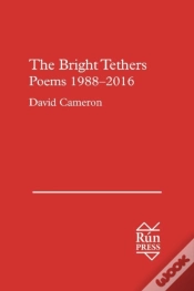 Capa do artigo The Bright Tethers