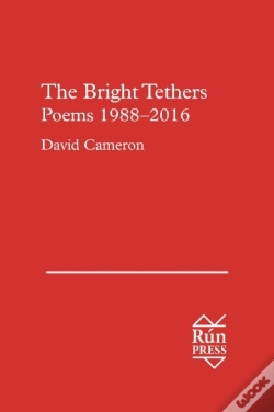 Capa do artigo The Bright Tethers