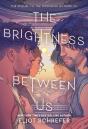 The Brightness Between Us - Preview