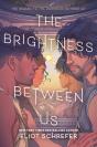 The Brightness Between Us - Preview
