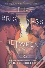 Capa do artigo The Brightness Between Us