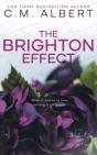 The Brighton Effect - Preview