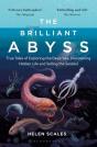 The Brilliant Abyss - Preview