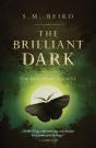 The Brilliant Dark - Preview