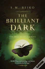 Capa do artigo The Brilliant Dark