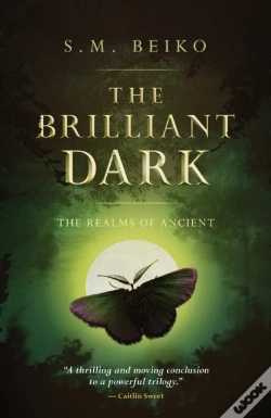 Capa do artigo The Brilliant Dark