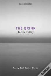 Capa do artigo The Brink