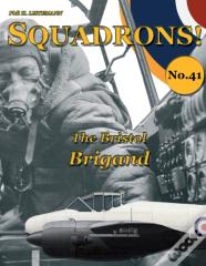 The Bristol Brigand