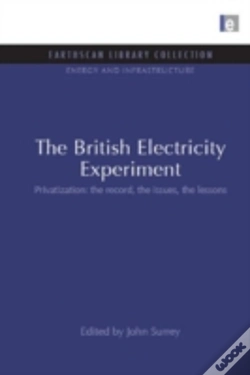 Capa do artigo The British Electricity Experiment
