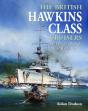 The British Hawkins Class Cruisers - Preview