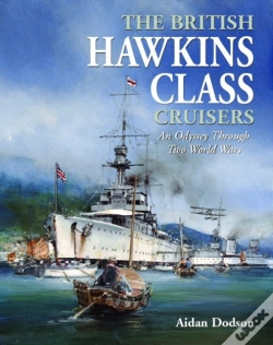 Capa do artigo The British Hawkins Class Cruisers