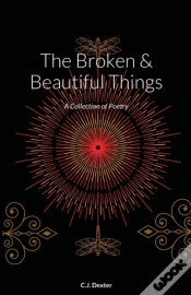 Capa do artigo The Broken & Beautiful Things