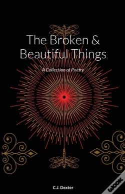 Capa do artigo The Broken & Beautiful Things
