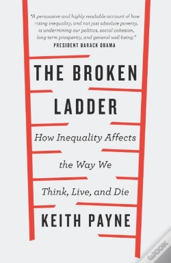 Capa do artigo The Broken Ladder