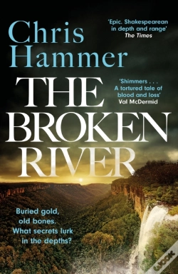 Capa do artigo The Broken River