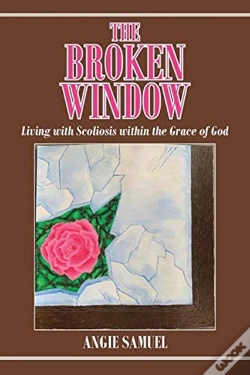 Capa do artigo The Broken Window