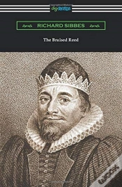 Capa do artigo The Bruised Reed