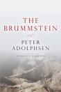 The Brummstein - Preview