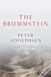 Capa do artigo The Brummstein