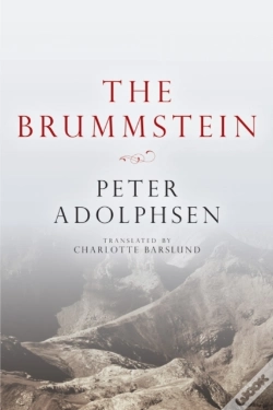 Capa do artigo The Brummstein