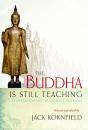 The Buddha Is Still Teaching - Preview