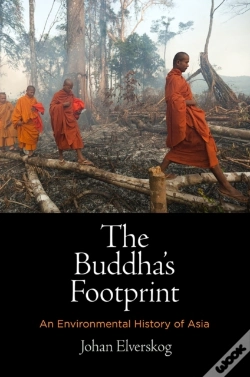 Capa do artigo The Buddha'S Footprint