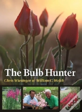 The Bulb Hunter