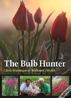 Capa do artigo The Bulb Hunter