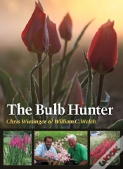 Capa do artigo The Bulb Hunter