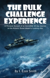 Capa do artigo The Bulk Challenge Experience: A Persona