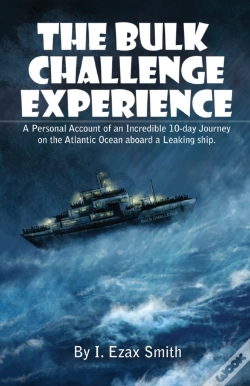 Capa do artigo The Bulk Challenge Experience: A Persona